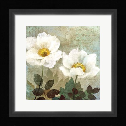 Framed Anemone II Print