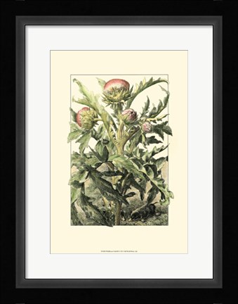 Framed Wildflower Field III Print