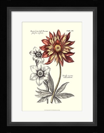 Framed Tinted Floral III Print
