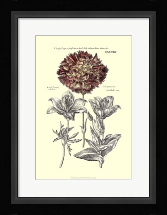 Framed Tinted Floral IV Print