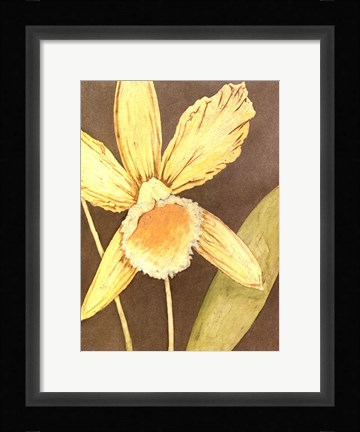 Framed Orchid &amp; Earth I Print