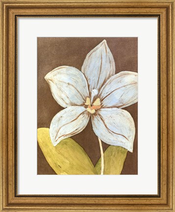 Framed Orchid &amp; Earth II Print