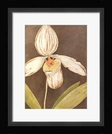 Framed Orchid &amp; Earth III Print