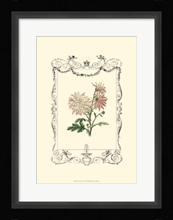 Framed Garden Charm V Print