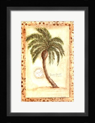 Framed Licuala Grandis Palm Print