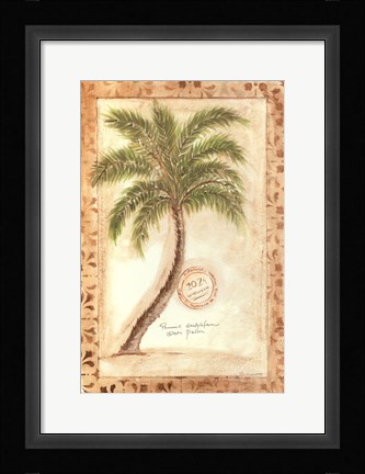 Framed Phoenix Date Palm Print