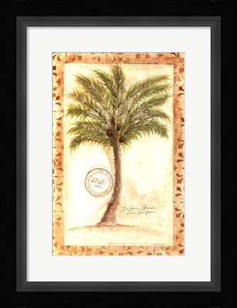 Framed Fan Palm Print