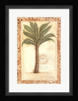 Framed Palmetto Palm Print