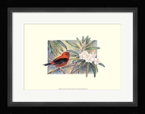 Framed Scarlet Tanager Print