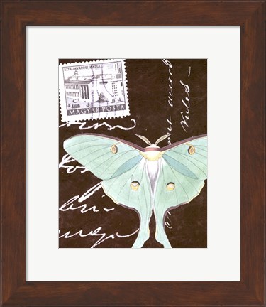 Framed Le Papillon Script I Print