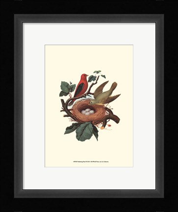 Framed Feathering Nest II Print