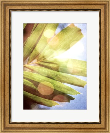 Framed Tropical Daydream I Print