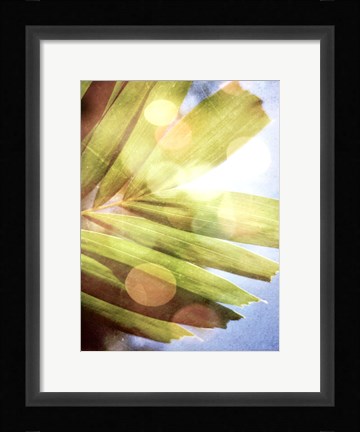 Framed Tropical Daydream I Print