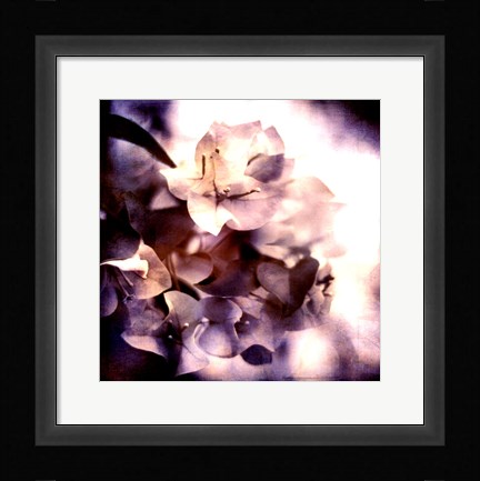 Framed Purple Dusk I Print