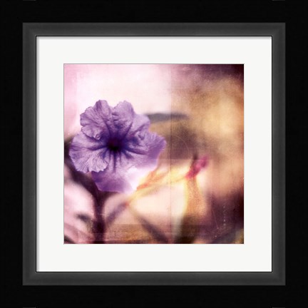 Framed Purple Tranquility I Print
