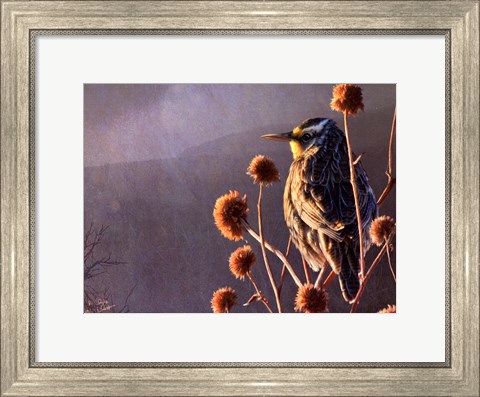 Framed Meadowlark Print