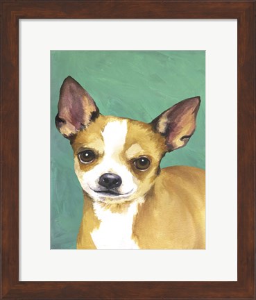 Framed Dog Portrait-Chihuahua Print