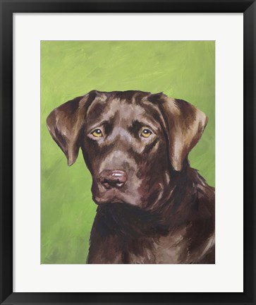 Framed Dog Portrait-Chocolate Print