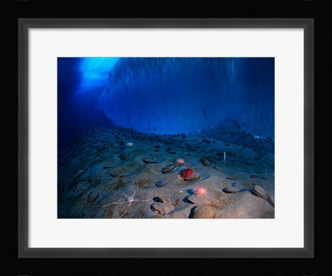 Framed Ice Wall and the Ocean Floor at Explorer's Cover Print