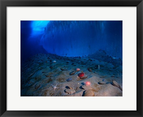 Framed Ice Wall and the Ocean Floor at Explorer&#39;s Cover Print