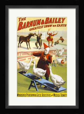 Framed Barnum &amp; Bailey Performing Geese, Roosters and Musical Donkey Print