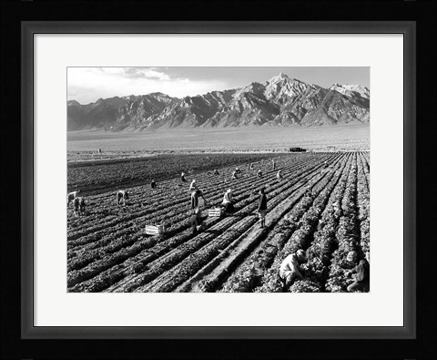 Framed Farm Workers and Mt. Williamson Print