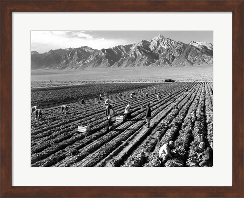 Framed Farm Workers and Mt. Williamson Print