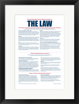 Framed Equal Opportunity Employment 2012 Print