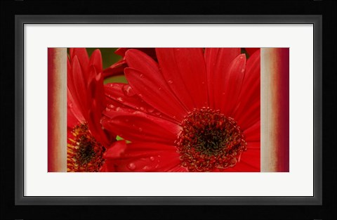 Framed Floral Fusion Print