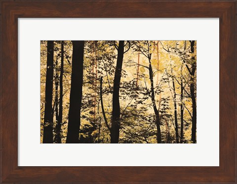 Framed Golden Wood Print