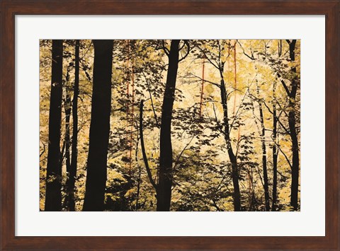 Framed Golden Wood Print