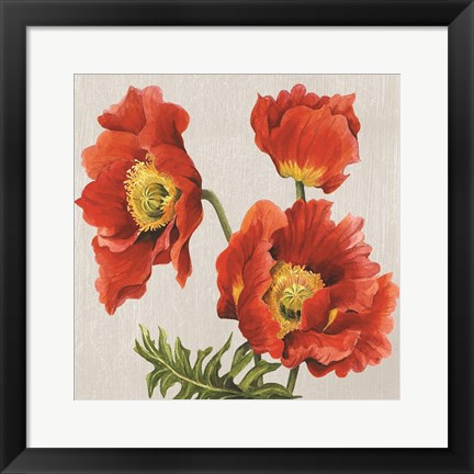 Framed Poppies on Silk Print