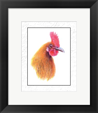 Framed Rooster Insets I Print