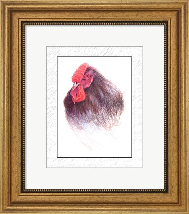 Framed Rooster Insets III Print