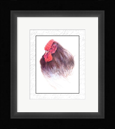 Framed Rooster Insets III Print