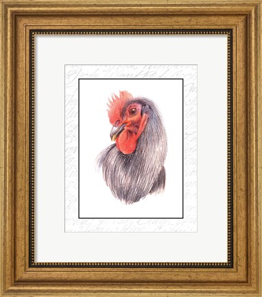Framed Rooster Insets IV Print