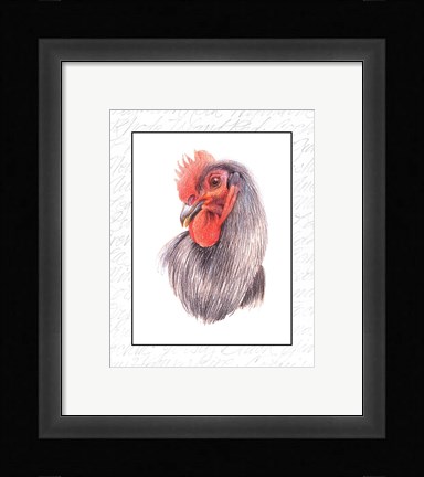 Framed Rooster Insets IV Print