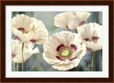 Framed Tasmanian Poppies I Print