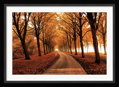 Framed Well Traveled Print