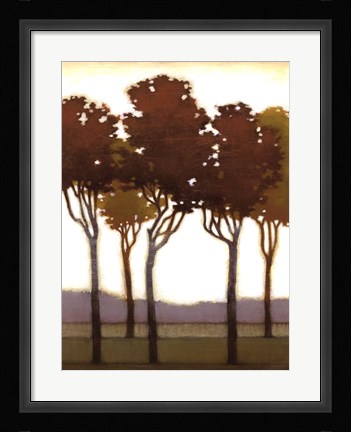 Framed Arboreal Grove I Print
