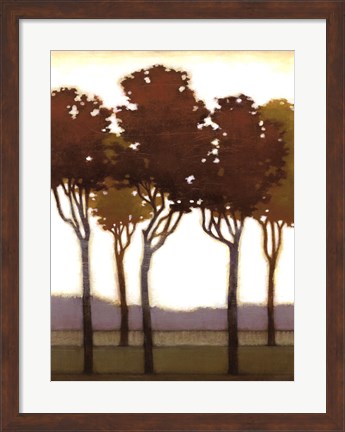 Framed Arboreal Grove I Print