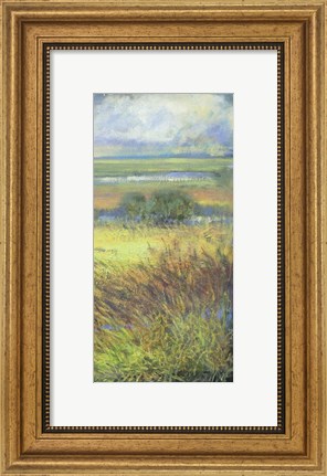 Framed Shimmering Marsh II Print