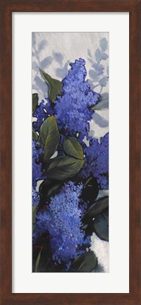 Framed Lilac Spray II Print