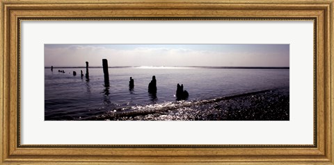 Framed Beach Study I Print