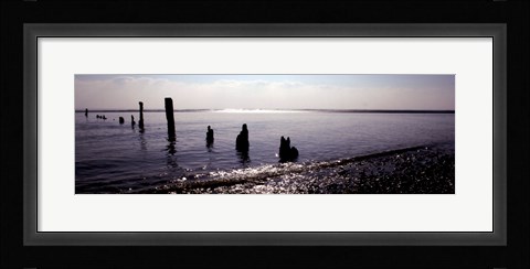 Framed Beach Study I Print
