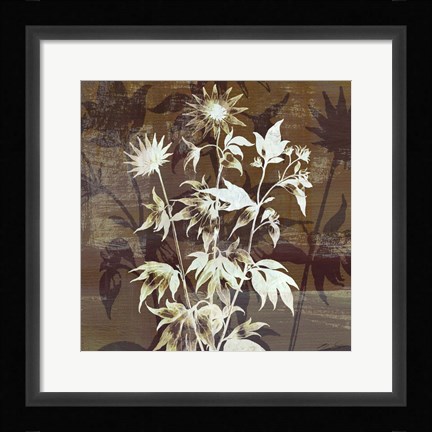 Framed Prairie Mix II Print