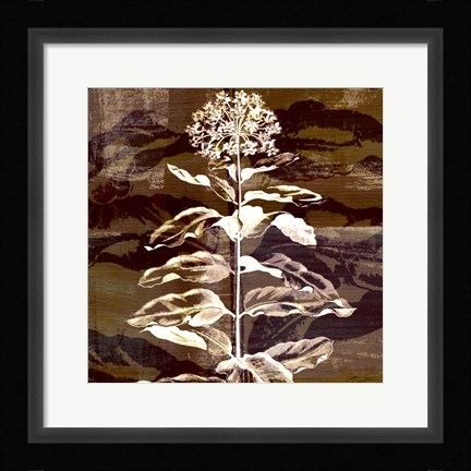 Framed Prairie Mix VI Print