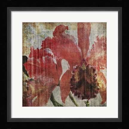 Framed Pacific Orchid I Print