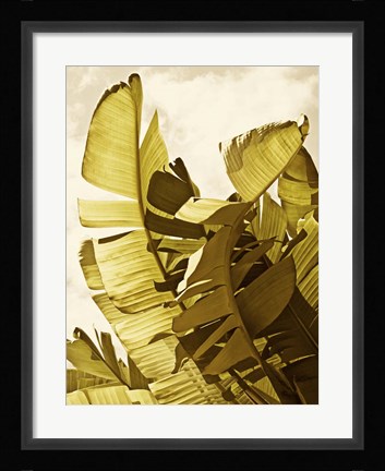 Framed Palm Fronds II Print