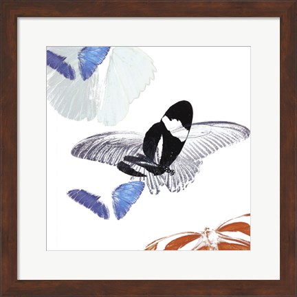 Framed Butterfly Inflorescence I Print